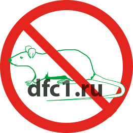 Уничтожение крыс в Набережных Челнах